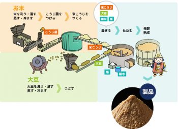 山元醸造　味噌作りの工程